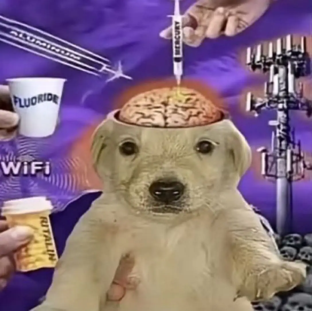 Meme de un cachorrito amarillo siendo inyectado en el cerebro descubierto, rodeado de antenas, chemtrails, pastillas y cosas así.
