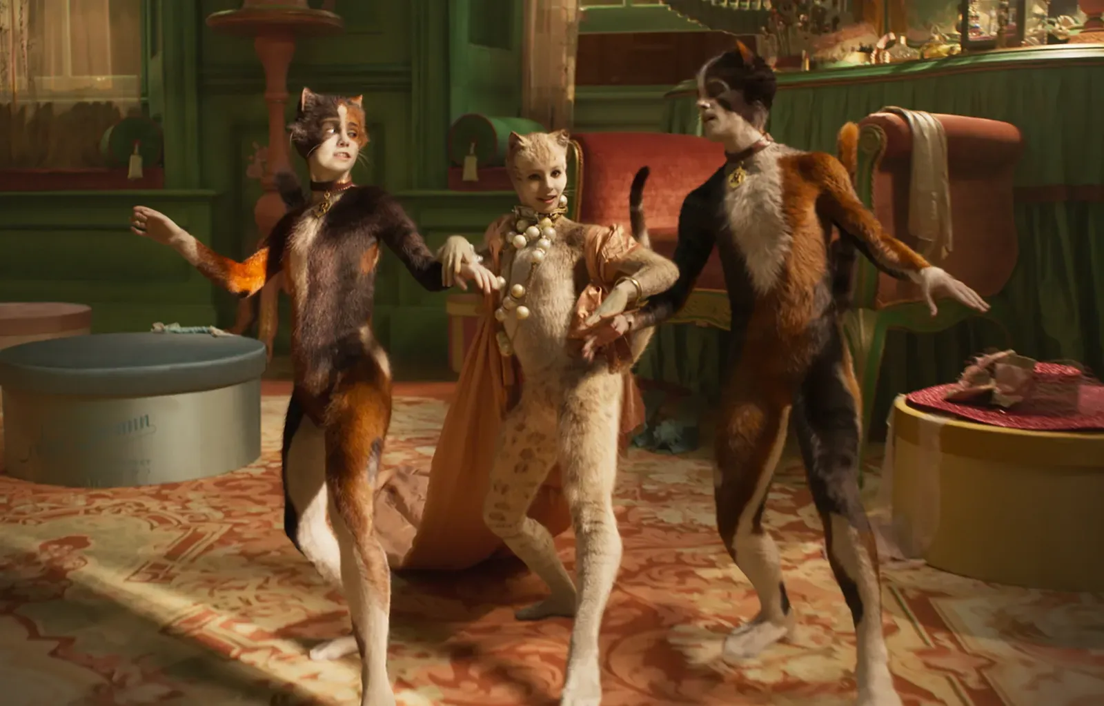 Frame de Cats, es Cats.